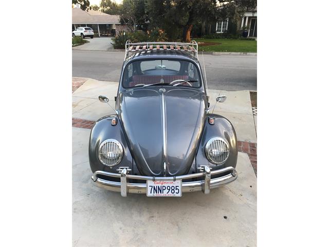 1965 Volkswagen Beetle (CC-1059422) for sale in Arcadia, California