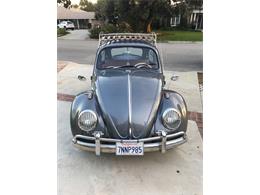 1965 Volkswagen Beetle (CC-1059422) for sale in Arcadia, California