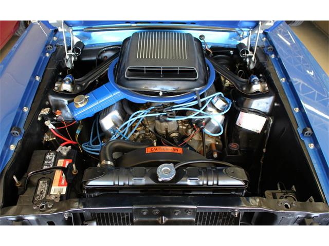 1970 Ford Mustang Mach 1 (CC-1059472) for sale in Rockville, Maryland