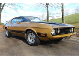 1973 Ford Mustang (CC-1059954) for sale in Greensboro, North Carolina