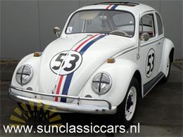 1966 Volkswagen Beetle (CC-1061001) for sale in Waalwijk, Noord Brabant