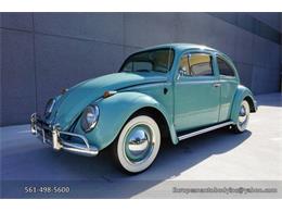 1963 Volkswagen Beetle (CC-1061094) for sale in Boca Raton, Florida