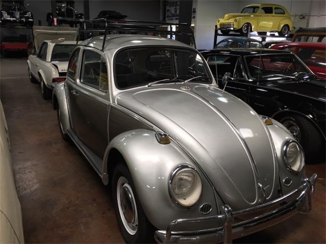 1966 Volkswagen Beetle (CC-1062322) for sale in San Juan Capistrano, California