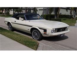 1973 Ford Mustang (CC-1062401) for sale in Lakeland, Florida