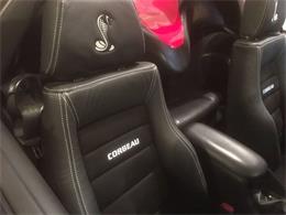 1999 Ford Mustang SVT Cobra (CC-1062619) for sale in St Louis, Missouri