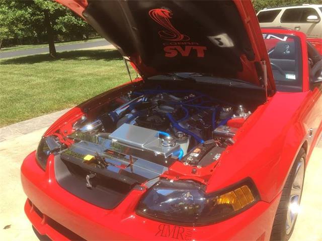 1999 Ford Mustang SVT Cobra (CC-1062619) for sale in St Louis, Missouri