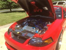 1999 Ford Mustang SVT Cobra (CC-1062619) for sale in St Louis, Missouri