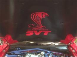 1999 Ford Mustang SVT Cobra (CC-1062619) for sale in St Louis, Missouri