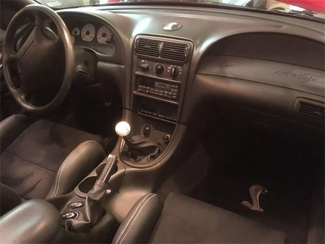 1999 Ford Mustang SVT Cobra (CC-1062619) for sale in St Louis, Missouri
