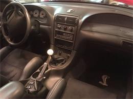 1999 Ford Mustang SVT Cobra (CC-1062619) for sale in St Louis, Missouri