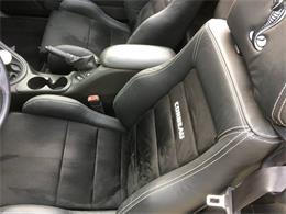1999 Ford Mustang SVT Cobra (CC-1062619) for sale in St Louis, Missouri