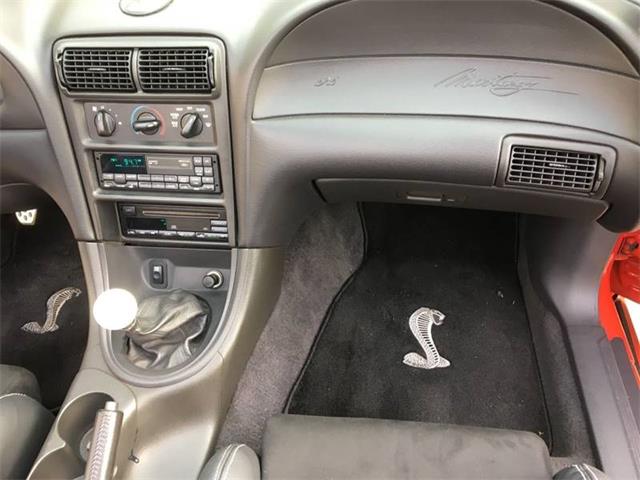 1999 Ford Mustang SVT Cobra (CC-1062619) for sale in St Louis, Missouri