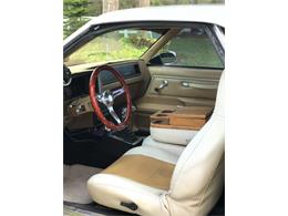 1986 Chevrolet El Camino (CC-1062697) for sale in Lakeland, Florida