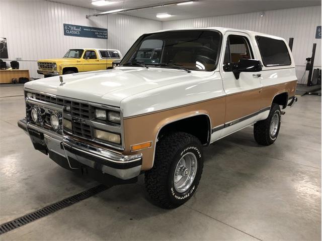 1990 Chevrolet Blazer (CC-1063249) for sale in Holland , Michigan