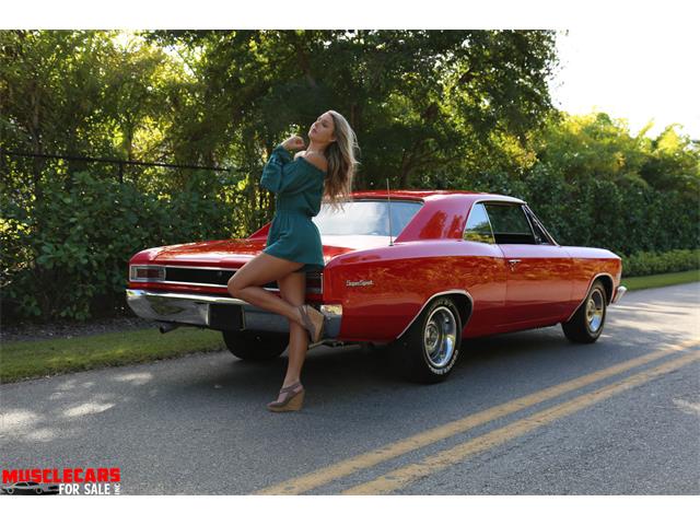 1966 Chevrolet Chevelle Malibu (CC-1063819) for sale in Fort Myers, Florida