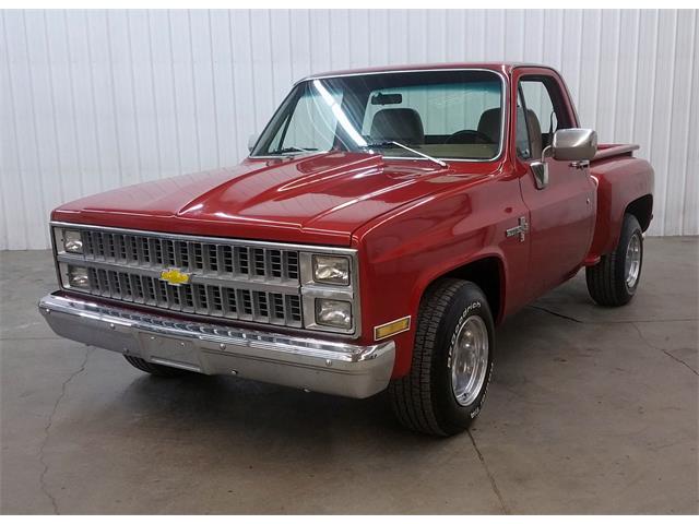 1981 Chevrolet C10 (CC-1064357) for sale in Maple Lake, Minnesota