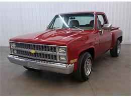 1981 Chevrolet C10 (CC-1064357) for sale in Maple Lake, Minnesota