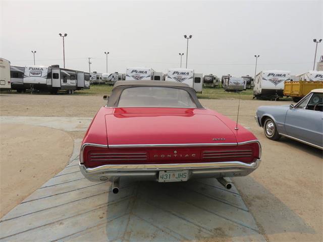 1966 Pontiac Tempest (CC-1060464) for sale in DAVIDSON, Saskatchewan
