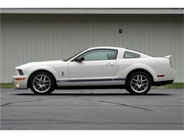 2007 Shelby GT500 (CC-1064712) for sale in West Palm Beach, Florida