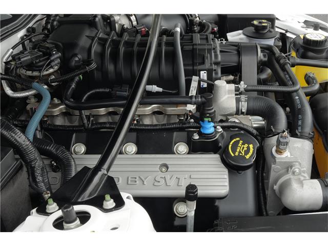 2007 Shelby GT500 (CC-1064712) for sale in West Palm Beach, Florida