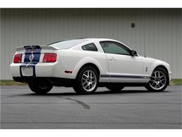 2007 Shelby GT500 (CC-1064712) for sale in West Palm Beach, Florida