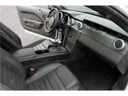 2007 Shelby GT500 (CC-1064712) for sale in West Palm Beach, Florida