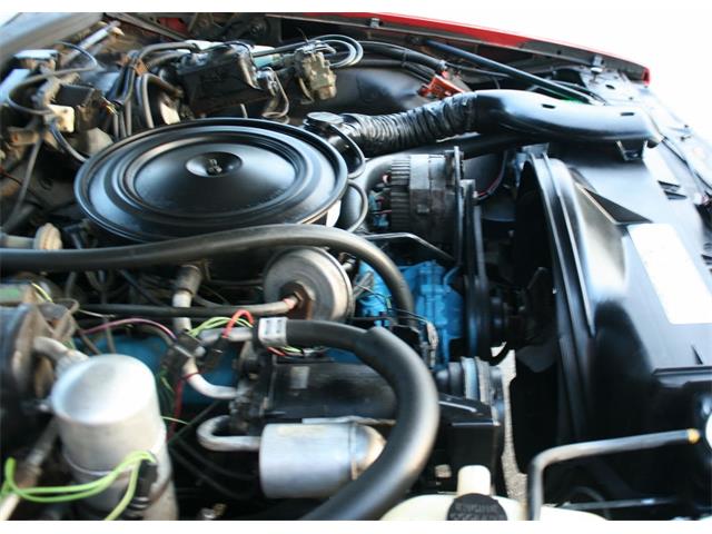 1977 Pontiac Bonneville (CC-1065549) for sale in lakeland, Florida