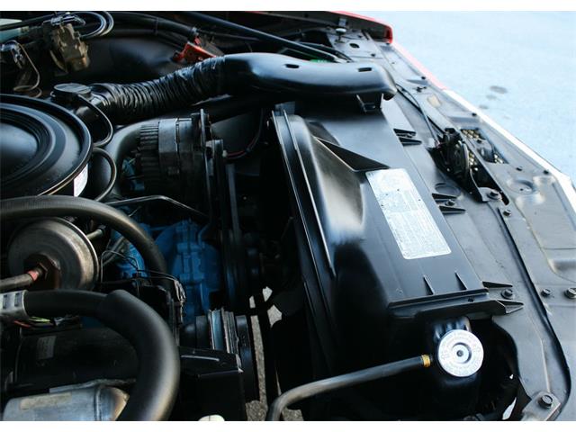 1977 Pontiac Bonneville (CC-1065549) for sale in lakeland, Florida