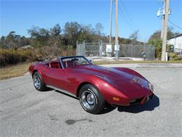 1975 Chevrolet Corvette (CC-1065814) for sale in Apopka, Florida