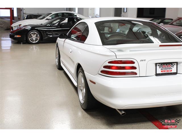 1995 Ford Mustang Cobra (CC-1060585) for sale in Glen Ellyn, Illinois