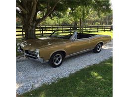 1967 Pontiac GTO (CC-1066012) for sale in Punta Gorda, Florida