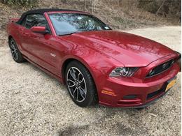 2013 Ford Mustang (CC-1067225) for sale in Punta Gorda, Florida