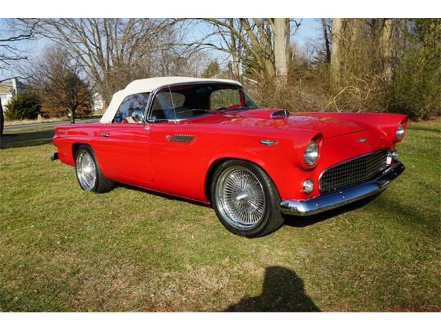 1955 Ford Thunderbird (CC-1067347) for sale in Largo, Florida