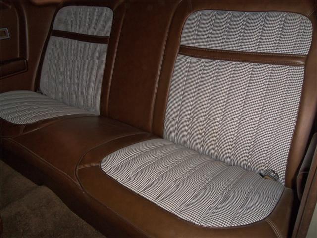 1977 Ford Thunderbird (CC-1067639) for sale in Jefferson, Wisconsin