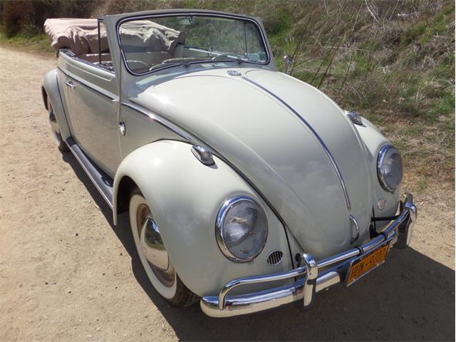 1964 Volkswagen Beetle (CC-1068057) for sale in Laguna Beach, California