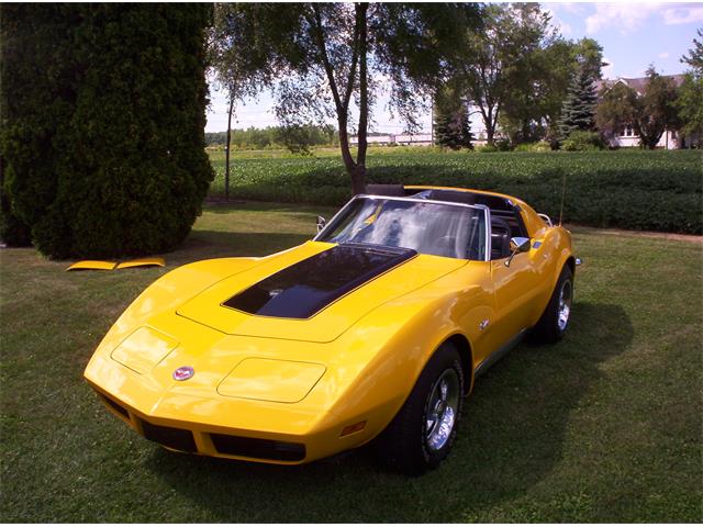 1973 Chevrolet Corvette (CC-1068135) for sale in Temperance, Michigan