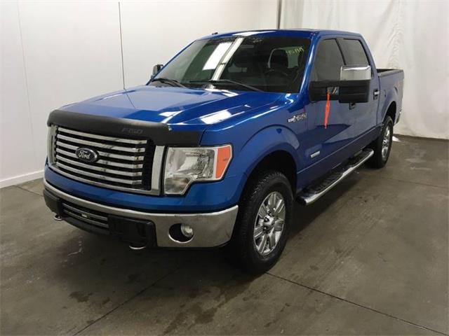 2012 Ford F150 (CC-1068562) for sale in Loveland, Ohio