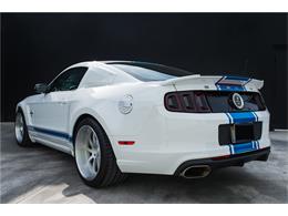 2014 Ford SHELBY GT500 SUPER SNAKE (CC-1069046) for sale in West Palm Beach, Florida