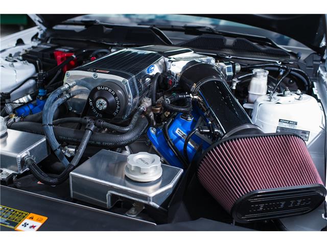 2014 Ford SHELBY GT500 SUPER SNAKE (CC-1069046) for sale in West Palm Beach, Florida