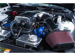 2014 Ford SHELBY GT500 SUPER SNAKE (CC-1069046) for sale in West Palm Beach, Florida