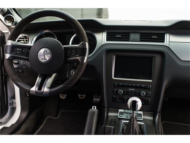 2014 Ford SHELBY GT500 SUPER SNAKE (CC-1069046) for sale in West Palm Beach, Florida