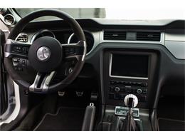 2014 Ford SHELBY GT500 SUPER SNAKE (CC-1069046) for sale in West Palm Beach, Florida