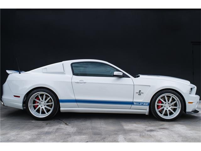 2014 Ford SHELBY GT500 SUPER SNAKE (CC-1069046) for sale in West Palm Beach, Florida