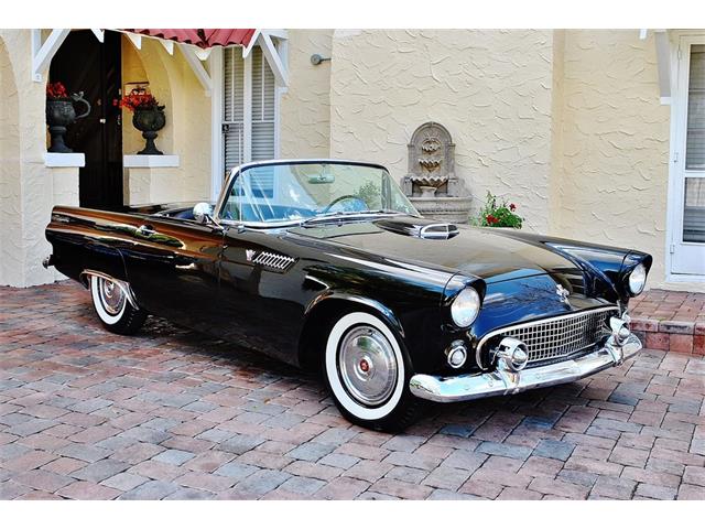 1955 Ford Thunderbird (CC-1069520) for sale in Lakeland, Florida