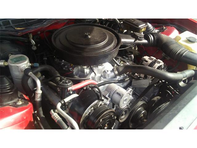 1988 Pontiac Firebird Trans Am GTA (CC-1069579) for sale in Saint augustine, Florida