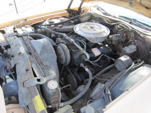1978 Ford Thunderbird (CC-1071904) for sale in Tifton, Georgia