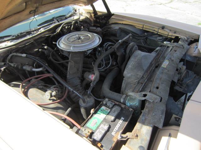 1978 Ford Thunderbird (CC-1071904) for sale in Tifton, Georgia