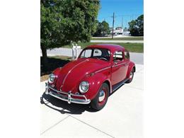 1964 Volkswagen Beetle (CC-1072008) for sale in Punta Gorda, Florida