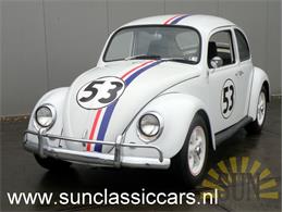 1966 Volkswagen Beetle (CC-1072128) for sale in Waalwijk, Noord-Brabant