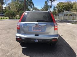 2009 Honda CRV (CC-1070239) for sale in Tavares, Florida
